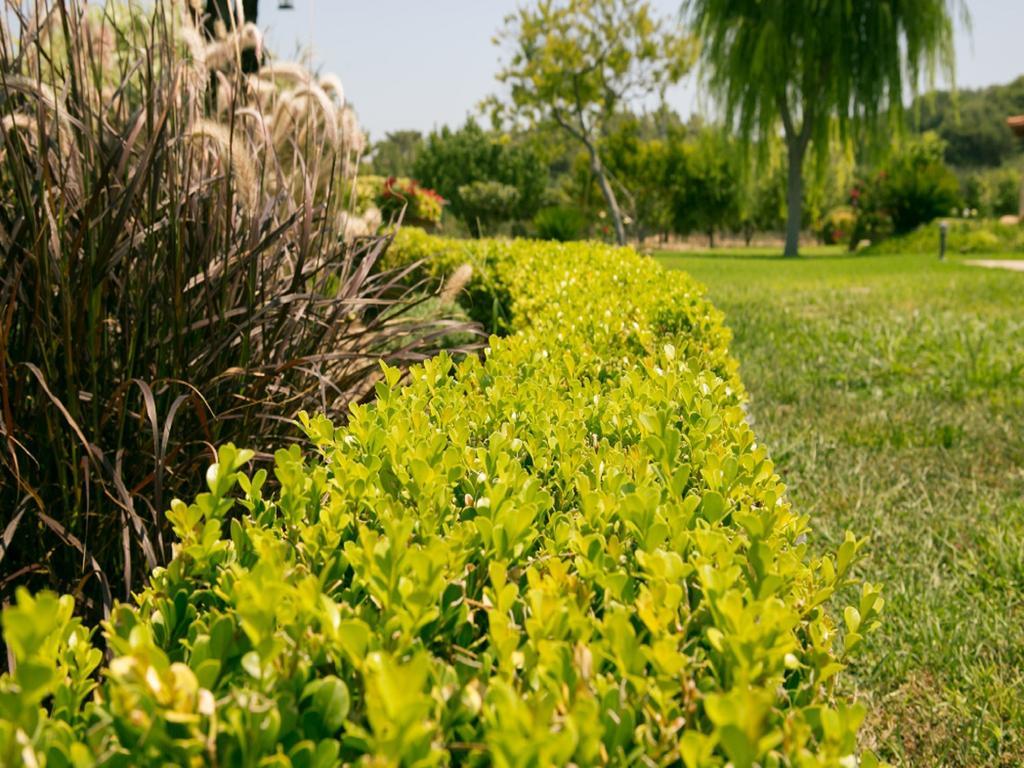 Villa Russelia Καλαβάρδα Εξωτερικό φωτογραφία