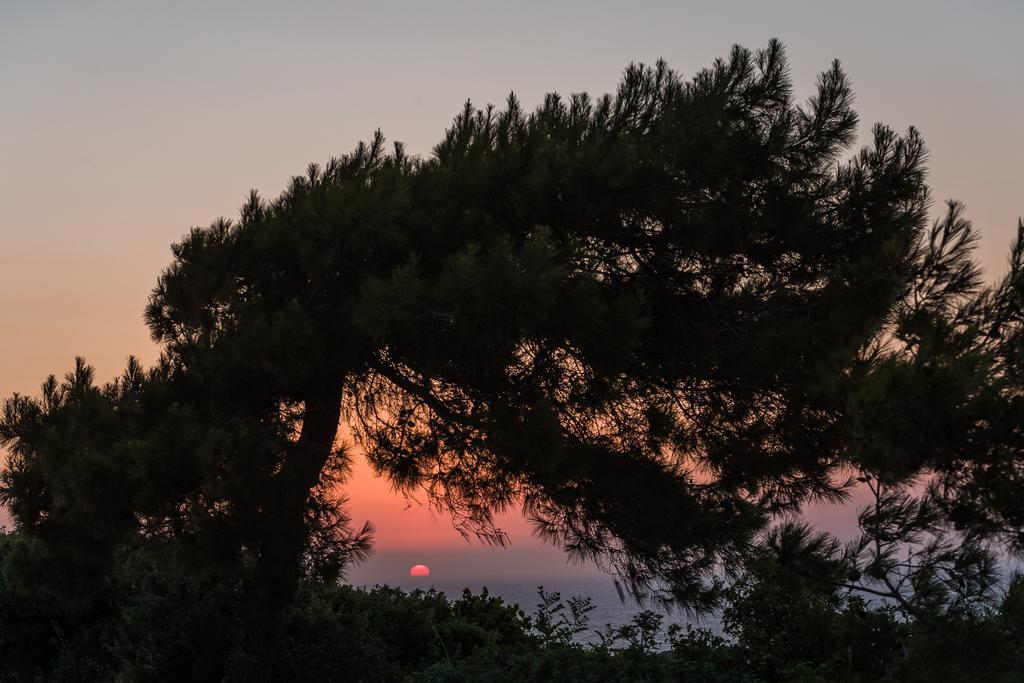Villa Russelia Καλαβάρδα Εξωτερικό φωτογραφία